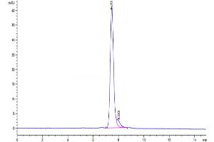 The purity of Mouse TNFRSF11A is greater than 95 % as determined by SEC-HPLC.