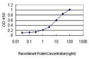 Detection limit for recombinant GST tagged PML is approximately 0. (PML 抗体  (AA 411-510))
