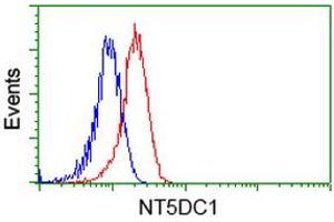 Image no. 3 for anti-5'-Nucleotidase Domain Containing 1 (NT5DC1) antibody (ABIN1499833) (NT5DC1 抗体)