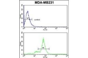 SC Antibody (C-term) (ABIN6243156 and ABIN6578976) flow cytometric analysis of MDA-M cells (bottom histogram) compared to a negative control cell (top histogram). (DIABLO 抗体  (C-Term))