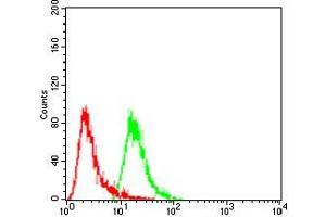 Flow Cytometry (FACS) image for anti-Heat Shock 27kDa Protein 2 (HSPB2) (AA 1-182) antibody (ABIN5542565)