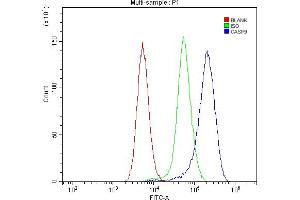 Flow Cytometry analysis of mouse spleen tissues using anti-Caspase-9 p35/Casp9 antibody (ABIN7601182).