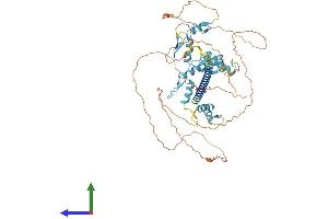 Protein Structure (PS) image for Zinc Finger Protein 384 (ZNF384) (AA 1-577) protein (His tag) (ABIN7545268)