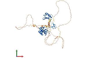 Protein Structure (PS) image for Mdm4-binding Protein (MDM4) (AA 1-489) protein (His tag) (ABIN7562343)