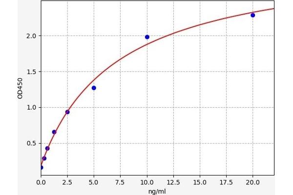 CD2 ELISA 试剂盒