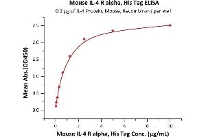 Immobilized IL-4 Protein, Mouse, Recombinant at 2 μg/mL (100 μL/well) can bind Mouse IL-4 R alpha, His Tag (ABIN2870747,ABIN2870748) with a linear range of 0.