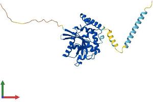 AlphaFold protein structure predicition of Human Recombinant GIMAP1 Protein, UniprotID Q8WWP7 (GTPase, IMAP Family Member 1 (GIMAP1) (AA 1-306) protein (His tag))
