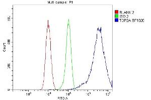Flow Cytometry analysis of 293T cells using anti-TOP2A antibody (ABIN7602988). (Topoisomerase II alpha 抗体  (Middle Region))