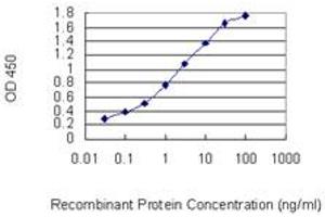 Detection limit for recombinant GST tagged KLF4 is 0. (KLF4 抗体  (AA 221-320))