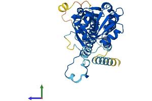 Protein Structure (PS) image for Eukaryotic Translation Initiation Factor 2B, Subunit 2 Beta, 39kDa (EIF2B2) (AA 1-351) protein (His tag) (ABIN7560361)