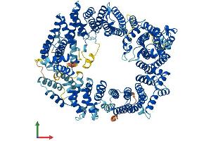 Protein Structure (PS) image for Exportin 4 (XPO4) (AA 1-1151) protein (His tag) (ABIN7556054)
