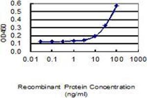 ELISA image for anti-Tumor Necrosis Factor, alpha-Induced Protein 2 (TNFAIP2) (AA 552-650) antibody (ABIN2565950)