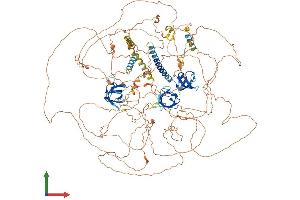 Protein Structure (PS) image for Sorbin and SH3 Domain Containing 1 (SORBS1) (AA 1-1292) protein (His tag) (ABIN7555582)