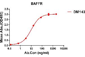 ELISA plate pre-coated by 1 μg/mL (100 μL/well) Human BAFFR protein, mFc tagged protein ((ABIN6961114, ABIN7042257 and ABIN7042258)) can bind Rabbit anti-BAFFR monoclonal antibody(clone: DM143) in a linear range of 0. (TNFRSF13C 抗体  (AA 7-71))