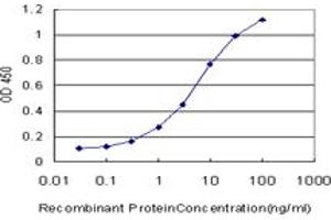 Detection limit for recombinant GST tagged CDK4 is approximately 0. (CDK4 抗体  (AA 211-303))
