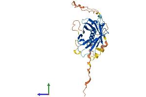 Protein Structure (PS) image for phospholipid Scramblase 3 (PLSCR3) (AA 1-295) protein (His tag) (ABIN7550833)