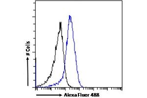 (ABIN334388) Flow cytometric analysis of paraformaldehyde fixed U251 cells (blue line), permeabilized with 0. (DRD5 抗体  (Internal Region))