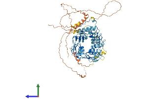 AlphaFold protein structure predicition of Human Recombinant ZNF304 Protein, UniprotID Q9HCX3