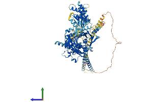 Protein Structure (PS) image for Oxysterol Binding Protein-Like 1A (OSBPL1A) (AA 1-950) protein (His tag) (ABIN7564812)
