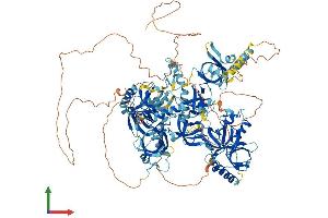Protein Structure (PS) image for Tudor Domain Containing 1 (TDRD1) (AA 1-1172) protein (His tag) (ABIN7564908)