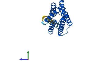 Protein Structure (PS) image for Tumor Necrosis Factor, alpha-Induced Protein 8-Like 1 (TNFAIP8L1) (AA 1-186) protein (His tag) (ABIN7544729)