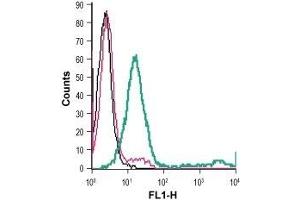 Cell surface detection of P2RX1 in live intact mouse M1 myeloid leukemia cells: (black line) Cells. (P2RX1 抗体  (Extracellular) (FITC))