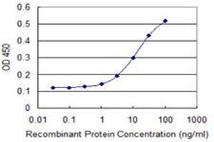 Detection limit for recombinant GST tagged TRIM17 is 1 ng/ml as a capture antibody. (TRIM17 / RNF16 抗体  (AA 75-184))