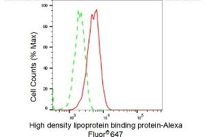 Flow cytometric analysis of High density lipoprotein binding protein expression in C2C12 cells using High density lipoprotein binding protein antibody (ABIN7798908), 1:(ABIN7798691).