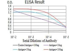 Black line: Control Antigen (100 ng);Purple line: Antigen (10ng); Blue line: Antigen (50 ng); Red line:Antigen (100 ng) (Calretinin 抗体  (AA 172-271))