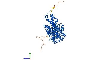 Protein Structure (PS) image for STEAP Family Member 3, Metalloreductase (STEAP3) (AA 1-488) protein (His tag) (ABIN7559363)