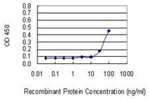 ELISA image for anti-Voltage-Dependent Anion Channel 2 (VDAC2) (AA 1-294) antibody (ABIN521316)