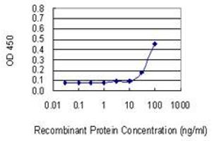 Detection limit for recombinant GST tagged VDAC2 is 10 ng/ml as a capture antibody. (VDAC2 抗体  (AA 1-294))