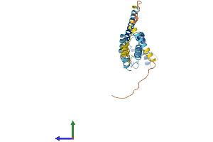 Protein Structure (PS) image for Gap Junction Protein, beta 1, 32kDa (GJB1) (AA 1-283) protein (His tag) (ABIN7563041)