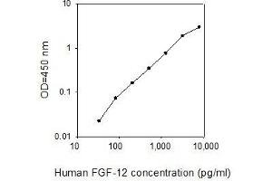 ELISA image for Fibroblast Growth Factor 12 (FGF12) ELISA Kit (ABIN2703006) (FGF12 ELISA 试剂盒)