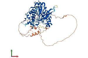AlphaFold protein structure predicition of Mouse Recombinant Dbr1 Protein, UniprotID Q923B1