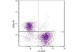 AKR mouse splenocytes were stained with Mouse Anti-Mouse I-Ek-FITC. (MHC Class II I-Ek 抗体)