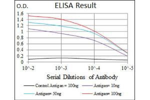 Red: Control Antigen (100ng) ; Purple: Antigen (10ng) ; Green: Antigen (50ng) ; Blue: Antigen (100ng). (NAPSA 抗体  (AA 20-158))