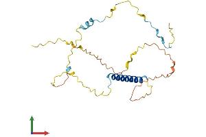 AlphaFold protein structure predicition of Mouse Recombinant Inca1 Protein, UniprotID Q6PKN7