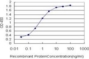Detection limit for recombinant GST tagged PCAF is approximately 0. (KAT2B 抗体  (AA 353-452))