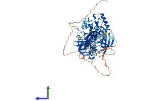 Protein Structure (PS) image for GTP Binding Protein 1 (GTPBP1) (AA 1-668) protein (His tag) (ABIN7562174)