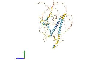 Protein Structure (PS) image for FIP1 Like 1 (FIP1L1) (AA 1-581) protein (His tag) (ABIN7561110)