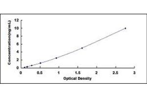 Typical standard curve (RAMP2 ELISA 试剂盒)