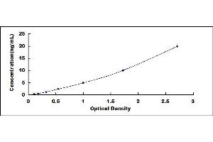 Typical standard curve (FN3K ELISA 试剂盒)