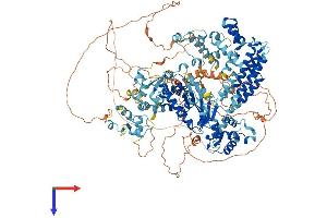 AlphaFold protein structure predicition of Human Recombinant ZNF862 Protein, UniprotID O60290