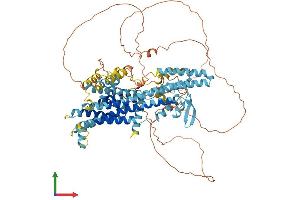 Protein Structure (PS) image for Putative Homeodomain Transcription Factor 2 (PHTF2) (AA 1-747) protein (His tag) (ABIN7559222)