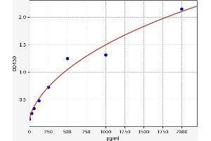 Typical standard curve (FAM132A ELISA 试剂盒)