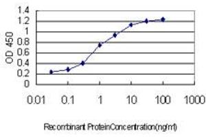 ELISA image for anti-V-Akt Murine Thymoma Viral Oncogene Homolog 1 (AKT1) (AA 381-480) antibody (ABIN559827)