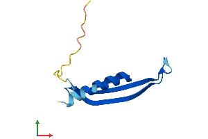 Protein Structure (PS) image for COMM Domain Containing 6 (COMMD6) (AA 1-87) protein (Fc Tag) (ABIN7557359)