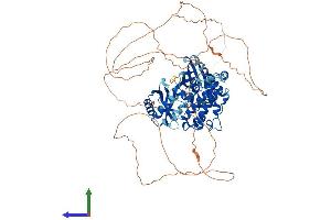 Protein Structure (PS) image for MAP/microtubule Affinity-Regulating Kinase 1 (MARK1) (AA 1-795) protein (His tag) (ABIN7564762)
