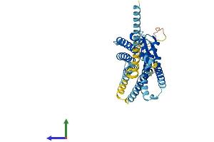 Protein Structure (PS) image for Chemokine (C-X-C Motif) Receptor 7 (CXCR7) (AA 1-362) protein (His tag) (ABIN7563456)